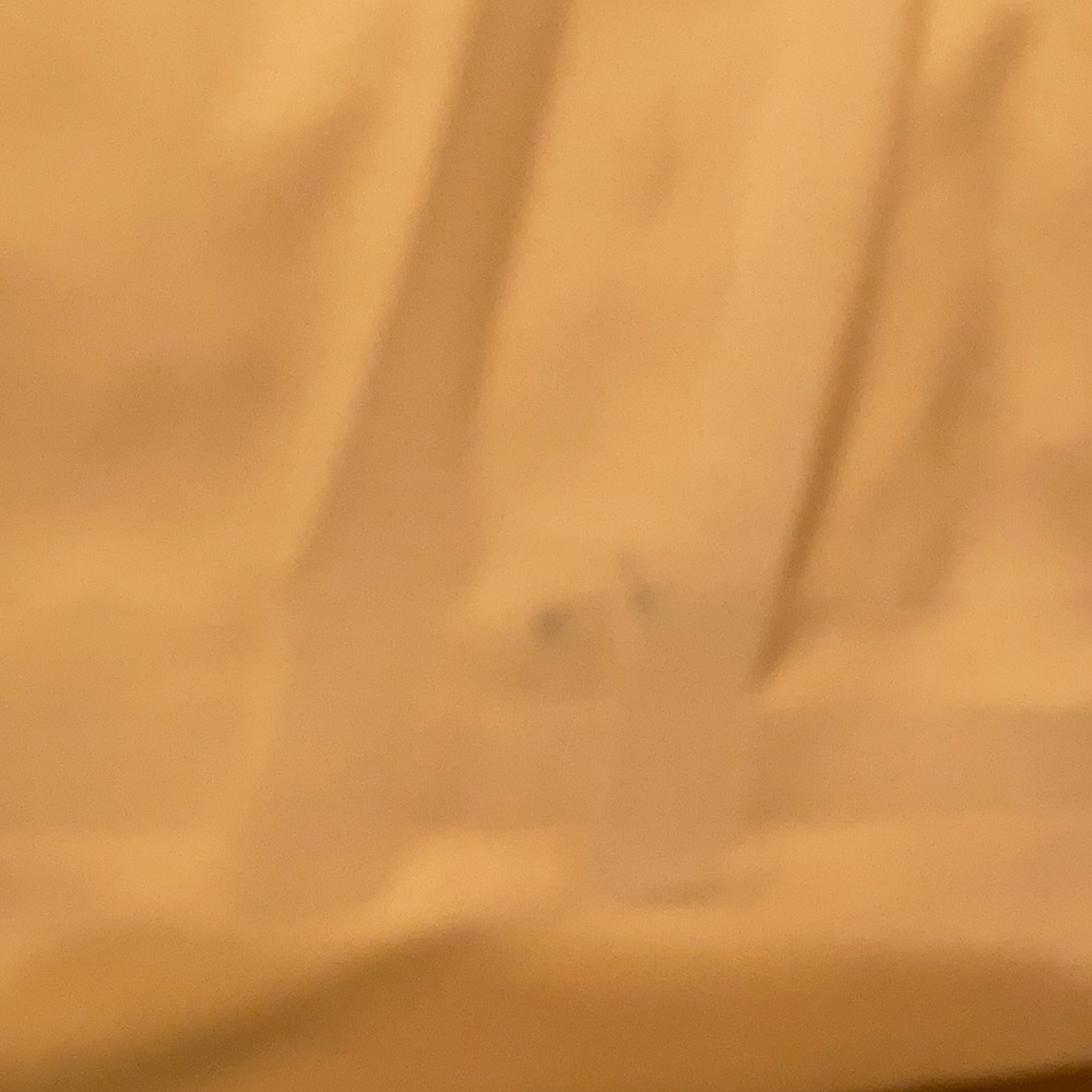 Patagonia Soft Shell Jacket - Picture 10 of 11